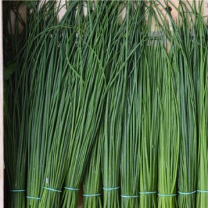 Ciboulette le bouquet 